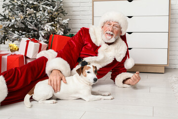 Santa Claus with cute Jack Russell Terrier dog celebrating Christmas at home