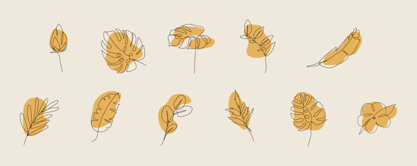 Abstract Floral Line Art II