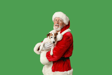 Santa Claus with cute Jack Russell Terrier dog on green background