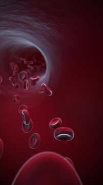 Red blood cells flowing through vein and artery in 3D animation