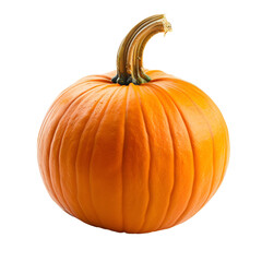 Obraz premium Single Orange Pumpkin Isolated Black Background