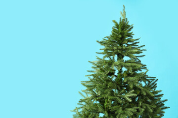Green fir tree on color background, closeup