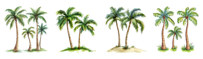 A set of watercolor palm trees png. Watercolor tropical palm trees watercolor on transparent background. Tropical botany. Vector illustration.