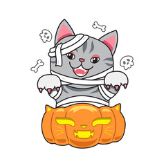 Cartoon cute grey tabby cat with halloween mummy costume and pumpkin for design.
