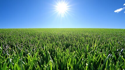 Obraz premium A field of green grass under a bright blue sky with a sun shining through clouds, perfect for a background image or website design