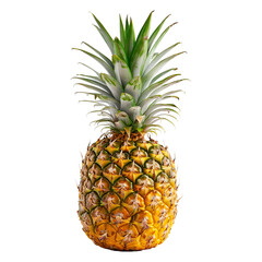 Fototapeta premium Ripe Pineapple with Green Leaves Isolated on Black