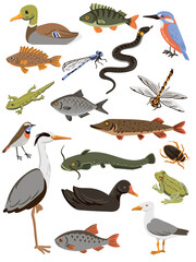 Vector drawing set of fishes, water birds, amphibians and insects isolated at white background, hand drawn vector illustration