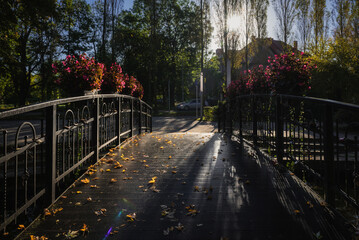 Fototapety na wymiar - Fototapeta24.pl