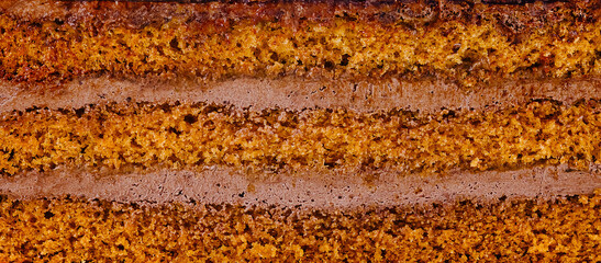Delicious chocolate cake layers showing filling texture close up