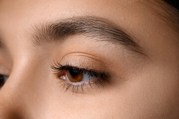 Fototapeta premium Young woman with beautiful eyebrows, closeup