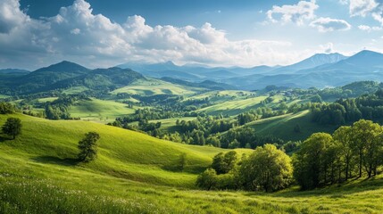 Naklejka premium A panoramic view of a rolling green valley with a chain of mountains in the background under a clear blue sky with white clouds.