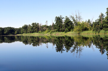 Beautiful serene river reflecting lush greenery under clear blue sky at midday
