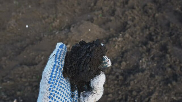 Farmer examining agricultural field soil sample from the palm of his hand, 4K