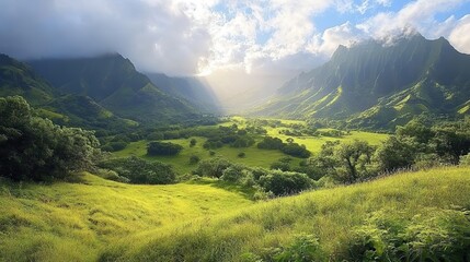 Fototapeta premium A high mountain view captivates in the morning light of this natural landscape.