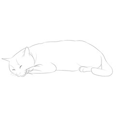 猫　線画