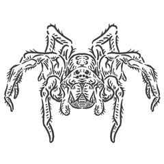 Fototapeta premium big scary spider vector illustration