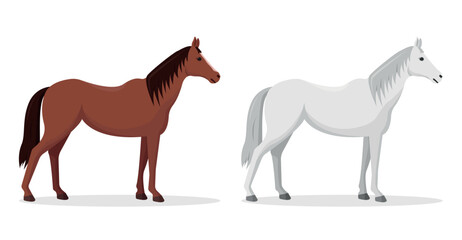 Horse icon set. Two horses of different colors. Vector illustration.