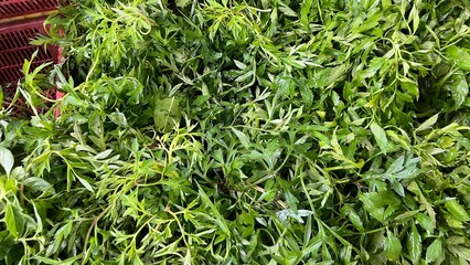 Fresh and raw vegetables the market. Fresh potatoes, bel peppers, tomatoes, zucchini, eggplant and green beans for sale at vegetable market, close up. Organic vegetables at local market.