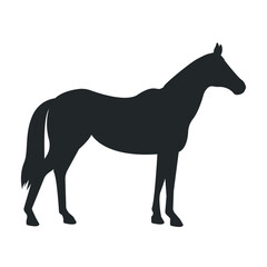Horse silhouette. Vector illustration.