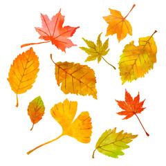 紅葉した落ち葉のセット　秋　葉　イラスト
