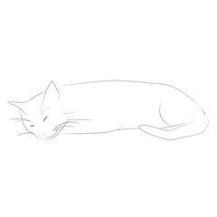 猫　線画