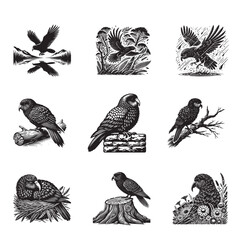 Obraz premium Collection of Kakapo Bird silhouettes, Kakapo Vector illustration in black and white 