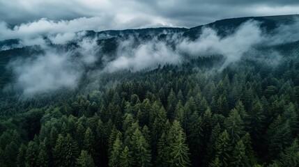 Aerial slow pan view of dark mountain forest with moody white clouds on top f trees in Vosges, France 4K.