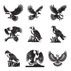 Obraz premium Collection of Peregrine falcon Vector illustration - Peregrine Bird Clipart Design