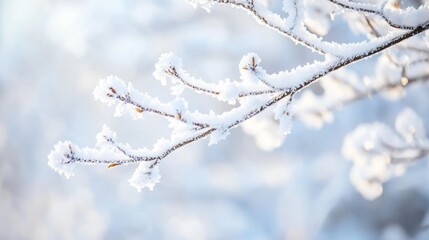 A close-up shot of a bare tree branch covered in white snow on a frosty winter day. The background is a natural, blurred scene.