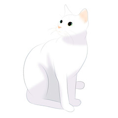 Obraz premium 白猫