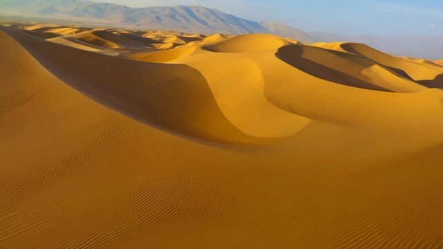 Fly-through, high speed video over sahara desert dunes with harsh sun lighting, ripples, and oasis on horizon
