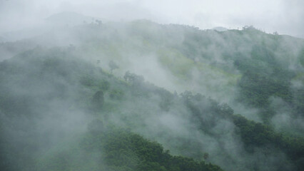 Landscape of greenery rainforest and hills on foggy day