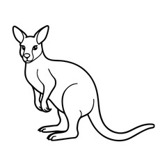 kangaroo vector illustration