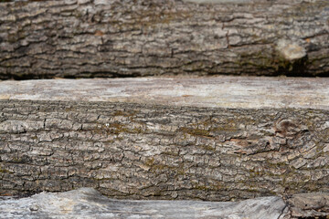 Pile of the trunks of trees that have been trimmed of branches