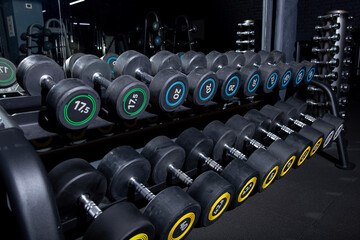 Sports equipment, many dumbbells are at stand at the gym interior. Space for text