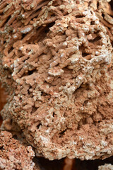 Spaghetti stone - natural sea rock for garden or aquarium decoration