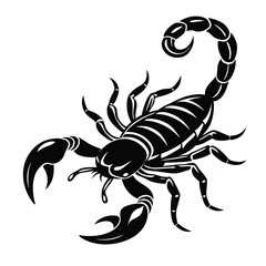 scorpion isolated on white background