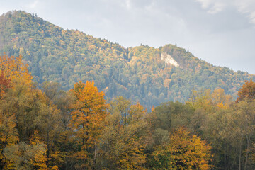 Kolorowa jesień nad Dunajcem