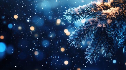 Fototapeta premium Snow-covered evergreen tree branch with blurred lights in background, creating serene winter night scene