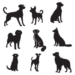 set of dogs on the white background. dog silhouettes. Vector EPS 10.	
