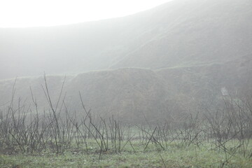 Autumn foggy morning. Country landscape