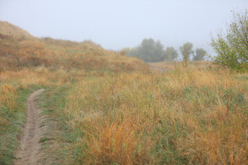 Obraz premium Autumn foggy morning. Country landscape