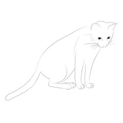 猫　線画