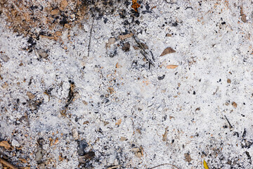Textures On The Cracked Ground