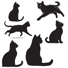 Silhouette of a Black Cat