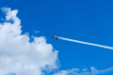 Obraz premium retro airplanes air show