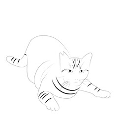 シマ　猫　線画