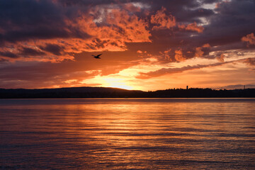 Bodensee, Sonnenuntergang mit Wolken