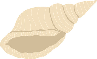 Cute hand drawn sea shell vector