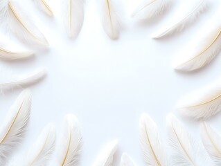Feathers arranged on a white isolated background